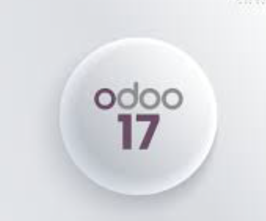 Odoo 17 Hosting in Deutschland (Monatlich)